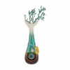 Shop My Bud Vase 
