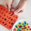 Shop Silicone Gummy Mold Kit in australian