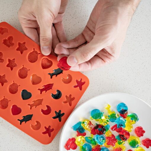 Shop Silicone Gummy Mold Kit in australian