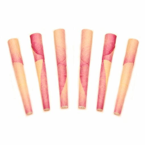 Shop Mini Rose Petal Cones in australian
