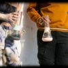 Shop Weeday Modular Bong in australian